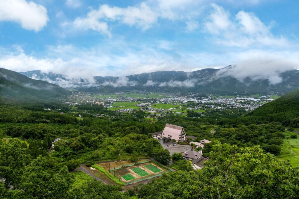 f_library_454_image